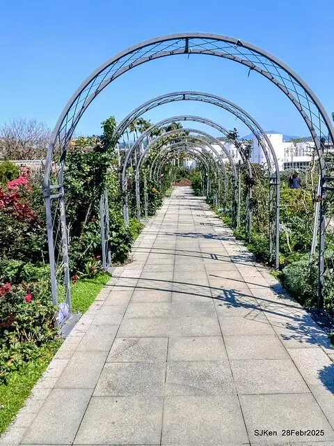 2025花博園區新生公園台北玫瑰園花展(2025 Annual Taipei Rose Garden festival), Mar 14 ~ Apr.13, 2025, Taipei, Taiwan, SJKen.