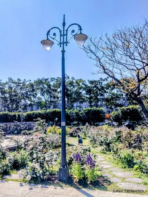 2025花博園區新生公園台北玫瑰園花展(2025 Annual Taipei Rose Garden festival), Mar 14 ~ Apr.13, 2025, Taipei, Taiwan, SJKen.