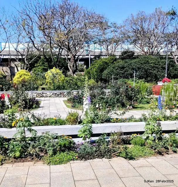 2025花博園區新生公園台北玫瑰園花展(2025 Annual Taipei Rose Garden festival), Mar 14 ~ Apr.13, 2025, Taipei, Taiwan, SJKen.
