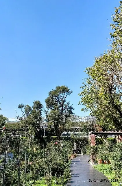 2025花博園區新生公園台北玫瑰園花展(2025 Annual Taipei Rose Garden festival), Mar 14 ~ Apr.13, 2025, Taipei, Taiwan, SJKen.