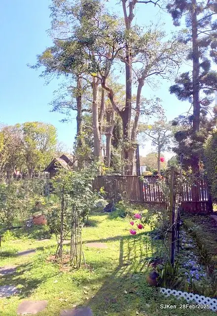 2025花博園區新生公園台北玫瑰園花展(2025 Annual Taipei Rose Garden festival), Mar 14 ~ Apr.13, 2025, Taipei, Taiwan, SJKen.