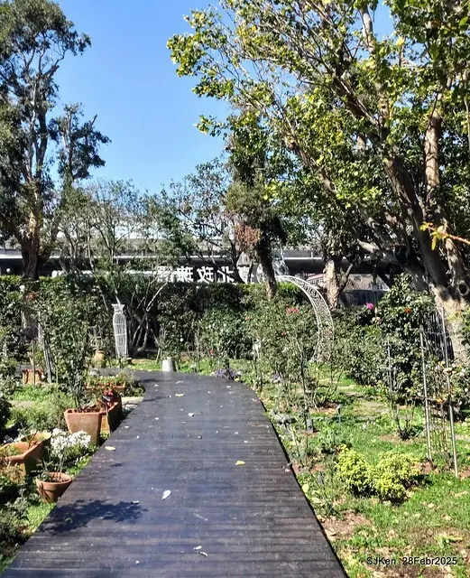 2025花博園區新生公園台北玫瑰園花展(2025 Annual Taipei Rose Garden festival), Mar 14 ~ Apr.13, 2025, Taipei, Taiwan, SJKen.