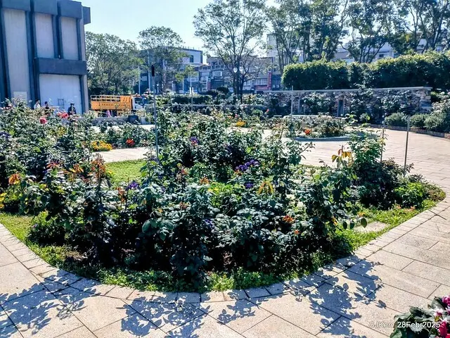 2025花博園區新生公園台北玫瑰園花展(2025 Annual Taipei Rose Garden festival), Mar 14 ~ Apr.13, 2025, Taipei, Taiwan, SJKen.