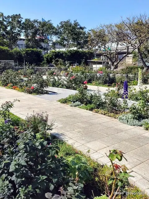 2025花博園區新生公園台北玫瑰園花展(2025 Annual Taipei Rose Garden festival), Mar 14 ~ Apr.13, 2025, Taipei, Taiwan, SJKen.