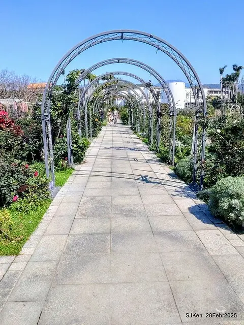 2025花博園區新生公園台北玫瑰園花展(2025 Annual Taipei Rose Garden festival), Mar 14 ~ Apr.13, 2025, Taipei, Taiwan, SJKen.