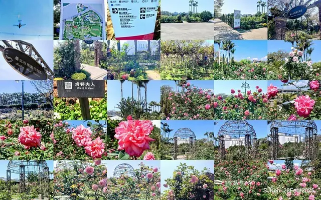 2025花博園區新生公園台北玫瑰園花展(2025 Annual Taipei Rose Garden festival), Mar 14 ~ Apr.13, 2025, Taipei, Taiwan, SJKen.