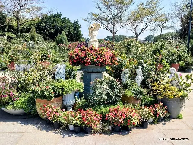 2025花博園區新生公園台北玫瑰園花展(2025 Annual Taipei Rose Garden festival), Mar 14 ~ Apr.13, 2025, Taipei, Taiwan, SJKen.