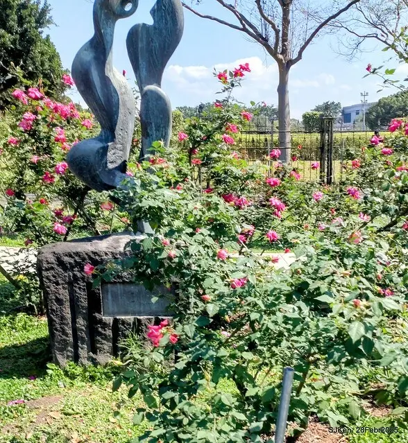 2025花博園區新生公園台北玫瑰園花展(2025 Annual Taipei Rose Garden festival), Mar 14 ~ Apr.13, 2025, Taipei, Taiwan, SJKen.