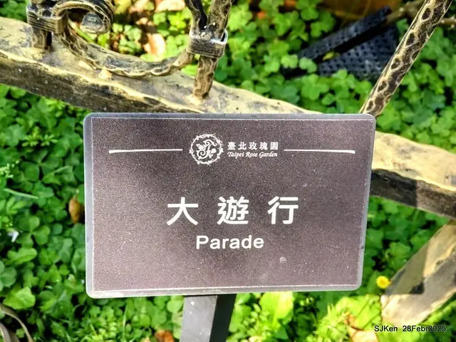 2025花博園區新生公園台北玫瑰園花展(2025 Annual Taipei Rose Garden festival), Mar 14 ~ Apr.13, 2025, Taipei, Taiwan, SJKen.