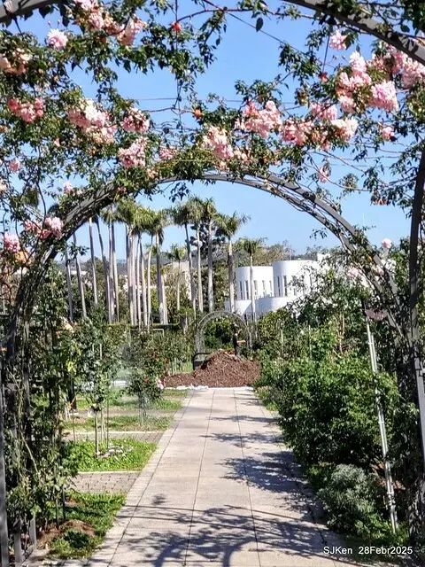 2025花博園區新生公園台北玫瑰園花展(2025 Annual Taipei Rose Garden festival), Mar 14 ~ Apr.13, 2025, Taipei, Taiwan, SJKen.