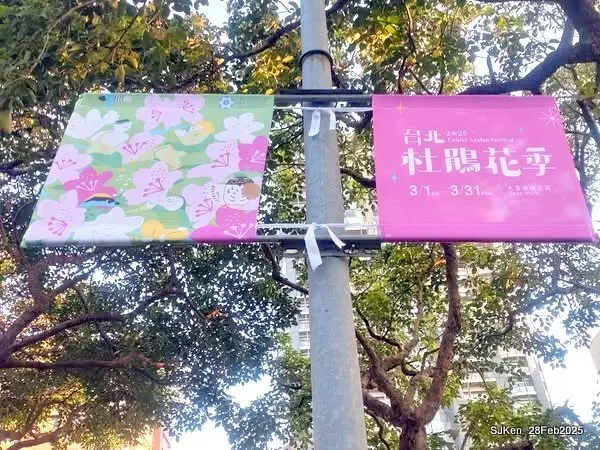 2025台北杜鵑花季「心花開、森不息」主題系列(三) 繡球花篇((Hydrangeas exhibition at Da-An forest park), Taipei,Taiwan, SJKen, Feb 28, 2025.