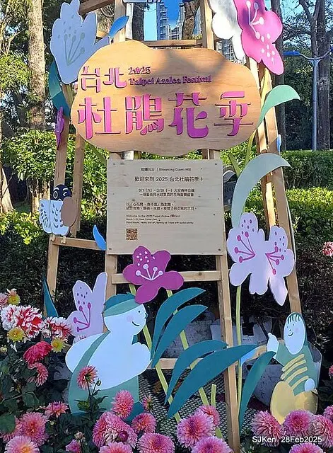 2025台北杜鵑花季系列(二) 大理花篇( Dahlia at Daan forest park), Taipei, Taiwan, SJKen , Feb 28, 2025.