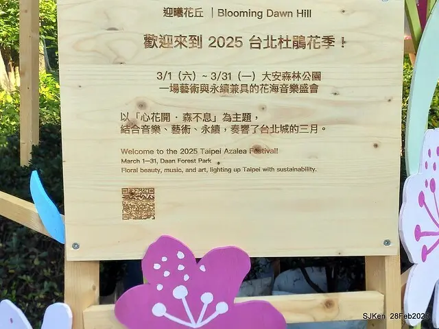 2025台北杜鵑花季系列(二) 大理花篇( Dahlia at Daan forest park), Taipei, Taiwan, SJKen , Feb 28, 2025.