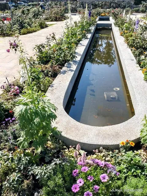 2025花博園區新生公園台北玫瑰園花展(2025 Annual Taipei Rose Garden festival), Mar 14 ~ Apr.13, 2025, Taipei, Taiwan, SJKen.