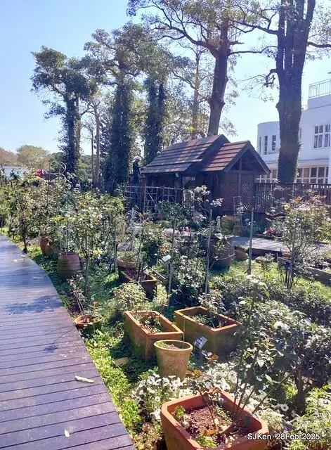 2025花博園區新生公園台北玫瑰園花展(2025 Annual Taipei Rose Garden festival), Mar 14 ~ Apr.13, 2025, Taipei, Taiwan, SJKen.