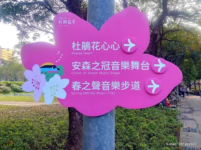 2025台北杜鵑花季「心花開、森不息」主題系列(三) 繡球花篇((Hydrangeas exhibition at Da-An forest park), Taipei,Taiwan, SJKen, Feb 28, 2025.