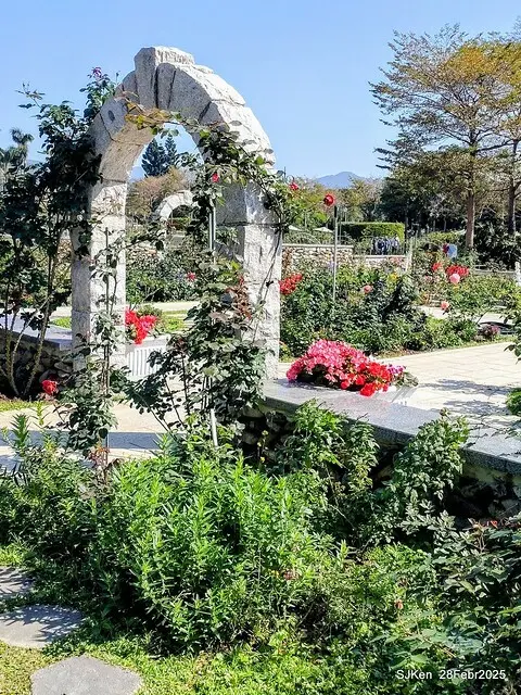 2025花博園區新生公園台北玫瑰園花展(2025 Annual Taipei Rose Garden festival), Mar 14 ~ Apr.13, 2025, Taipei, Taiwan, SJKen.