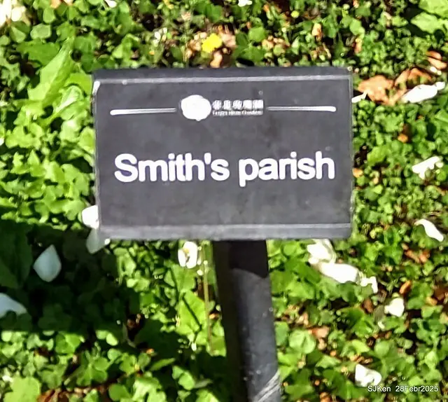 2025花博園區新生公園台北玫瑰園花展(2025 Annual Taipei Rose Garden festival), Mar 14 ~ Apr.13, 2025, Taipei, Taiwan, SJKen.