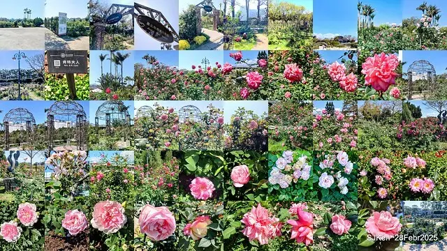 2025花博園區新生公園台北玫瑰園花展(2025 Annual Taipei Rose Garden festival), Mar 14 ~ Apr.13, 2025, Taipei, Taiwan, SJKen.