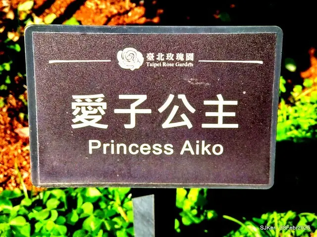 2025花博園區新生公園台北玫瑰園花展(2025 Annual Taipei Rose Garden festival), Mar 14 ~ Apr.13, 2025, Taipei, Taiwan, SJKen.