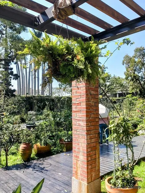 2025花博園區新生公園台北玫瑰園花展(2025 Annual Taipei Rose Garden festival), Mar 14 ~ Apr.13, 2025, Taipei, Taiwan, SJKen.