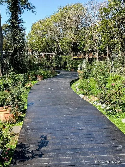 2025花博園區新生公園台北玫瑰園花展(2025 Annual Taipei Rose Garden festival), Mar 14 ~ Apr.13, 2025, Taipei, Taiwan, SJKen.