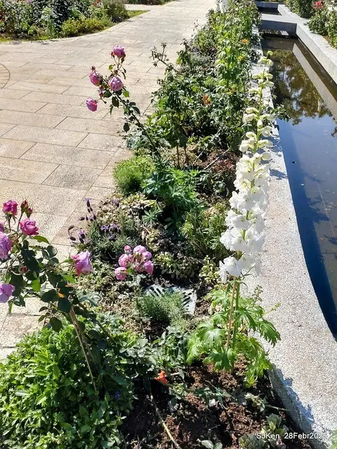 2025花博園區新生公園台北玫瑰園花展(2025 Annual Taipei Rose Garden festival), Mar 14 ~ Apr.13, 2025, Taipei, Taiwan, SJKen.