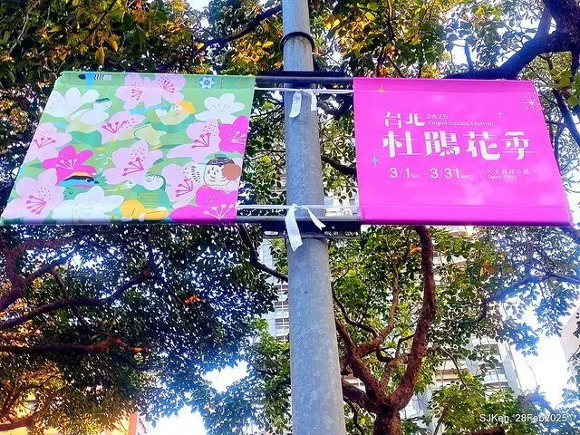 2025.02.28       2025 台北杜鵑花季--- 杜鵑花篇(2025 Tapei Azalea festival at Daan forest park), Taipei, Taiwan, Feb 28,2025, SJKen