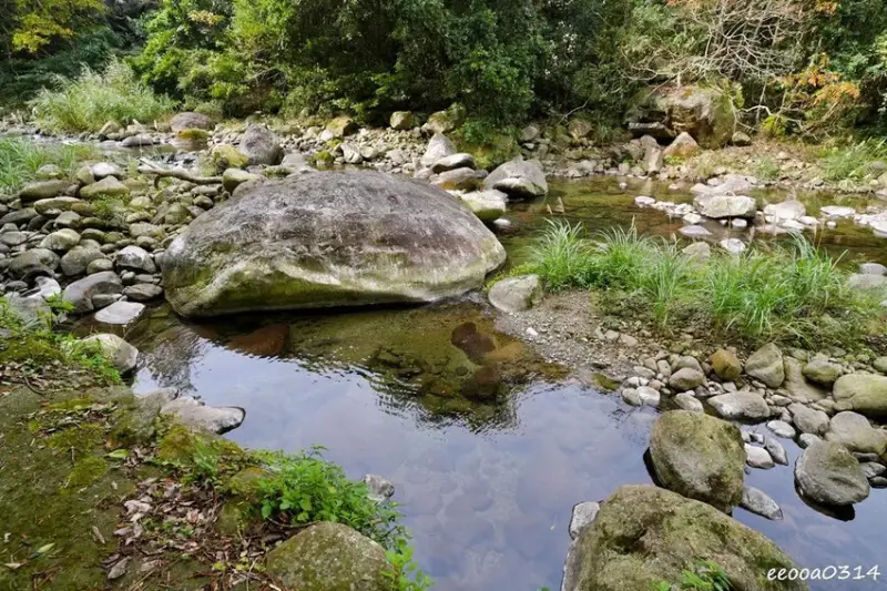 苗栗南庄「蓬萊溪護魚步道」，適合親子健走的觀魚步道!