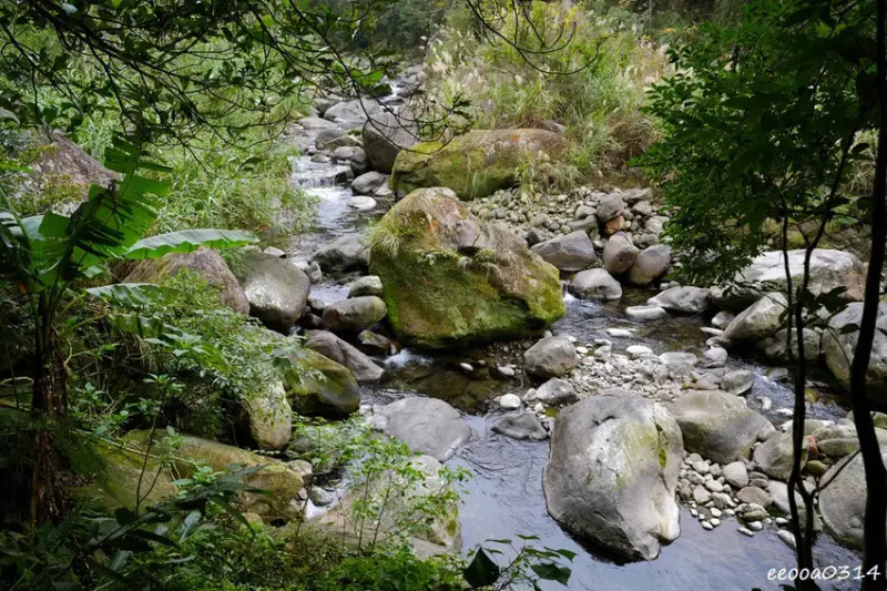 苗栗南庄「蓬萊溪護魚步道」，適合親子健走的觀魚步道!