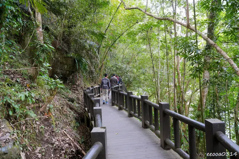 苗栗南庄「蓬萊溪護魚步道」，適合親子健走的觀魚步道!
