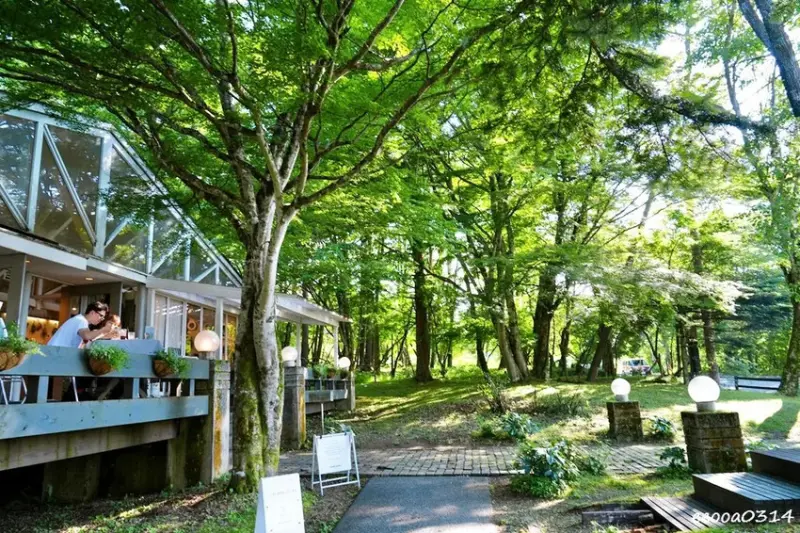 山中湖甜點咖啡廳「Paper Moon」，山梨縣鄉村風玻璃屋