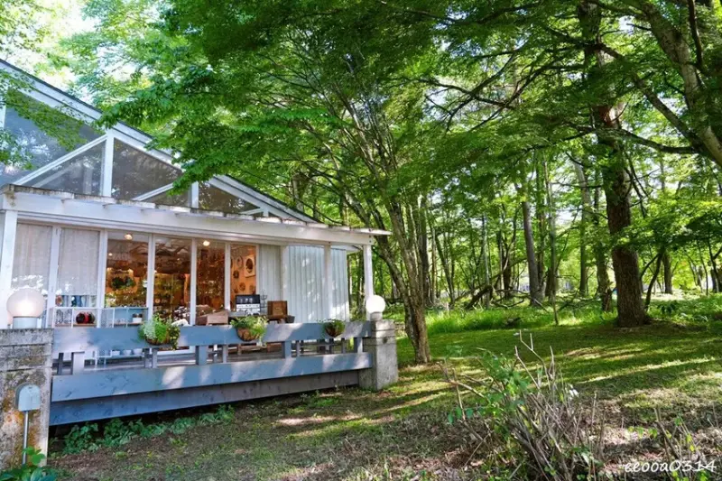 山中湖甜點咖啡廳「Paper Moon」，山梨縣鄉村風玻璃屋