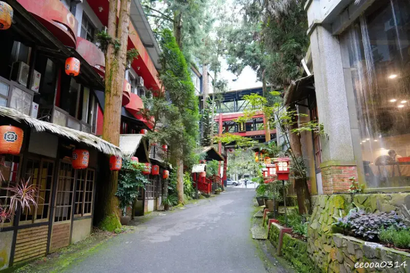 南投鹿谷「溪頭妖怪村」，咬人貓麵包、松林町日式特色商店街!