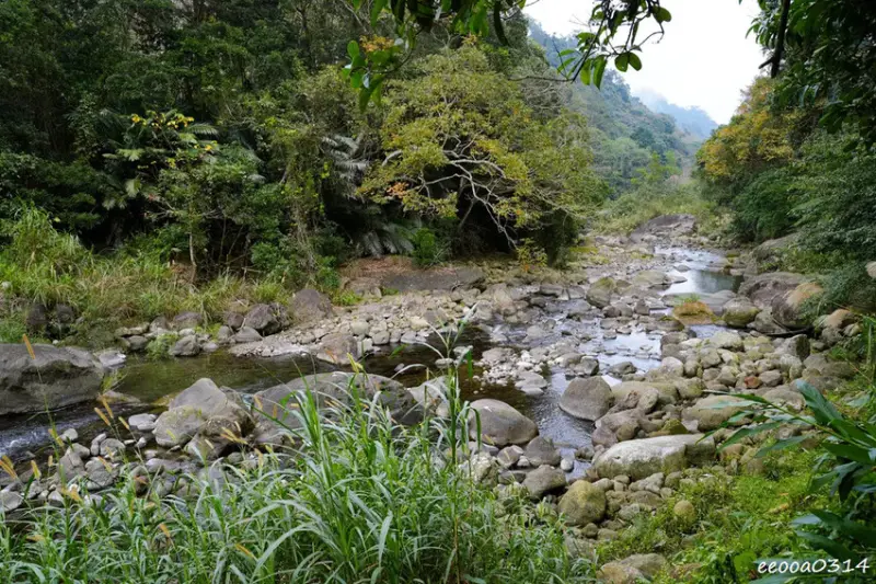 苗栗南庄「蓬萊溪護魚步道」，適合親子健走的觀魚步道!