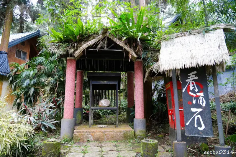 南投鹿谷「溪頭妖怪村」，咬人貓麵包、松林町日式特色商店街!