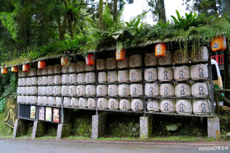 南投鹿谷「溪頭妖怪村」，咬人貓麵包、松林町日式特色商店街!