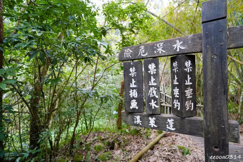 苗栗南庄「蓬萊溪護魚步道」，適合親子健走的觀魚步道!