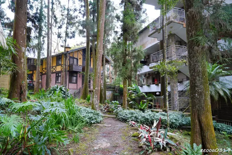 南投鹿谷「溪頭妖怪村」，咬人貓麵包、松林町日式特色商店街!