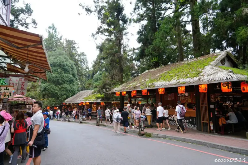南投鹿谷「溪頭妖怪村」，咬人貓麵包、松林町日式特色商店街!