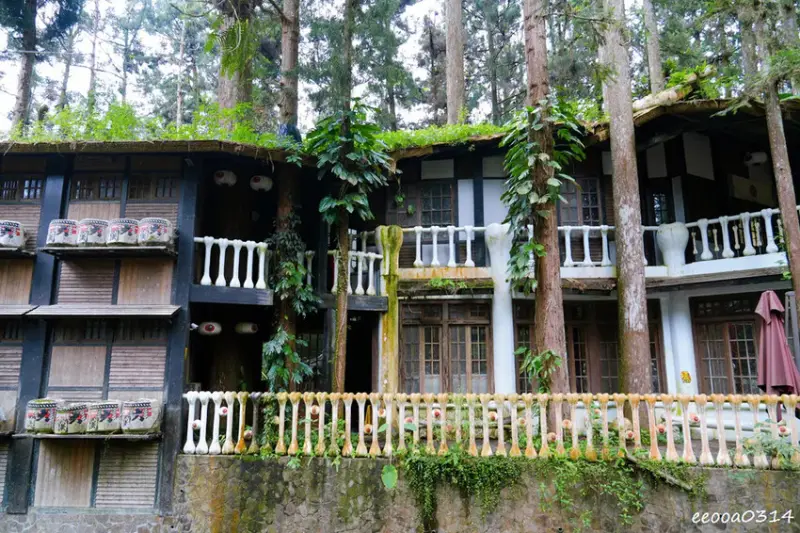 南投鹿谷「溪頭妖怪村」，咬人貓麵包、松林町日式特色商店街!