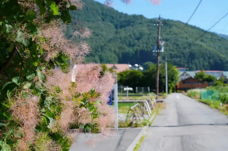 富士河口湖住宿「田園曲度假屋 Cottage Pastora