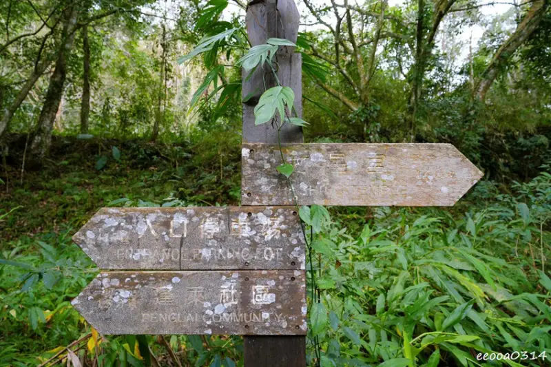 苗栗南庄「蓬萊溪護魚步道」，適合親子健走的觀魚步道!