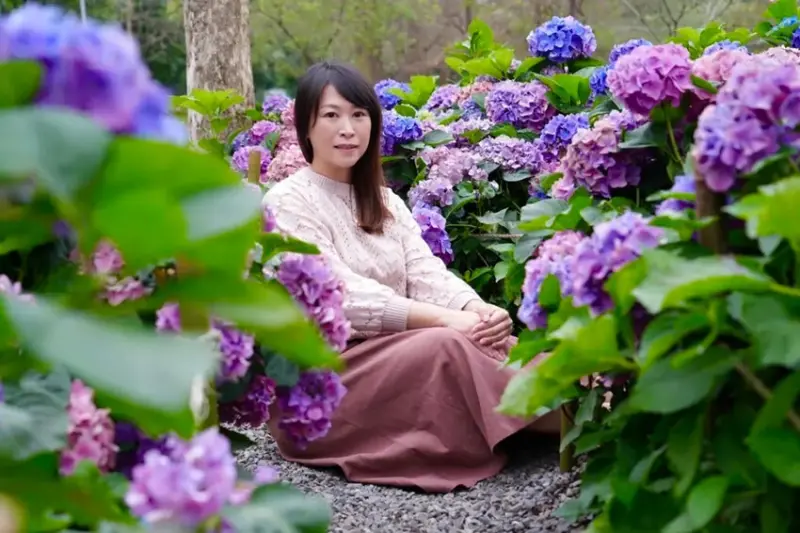 台北市區免費賞花「2025大安森公園繡球花季」，2000株繡