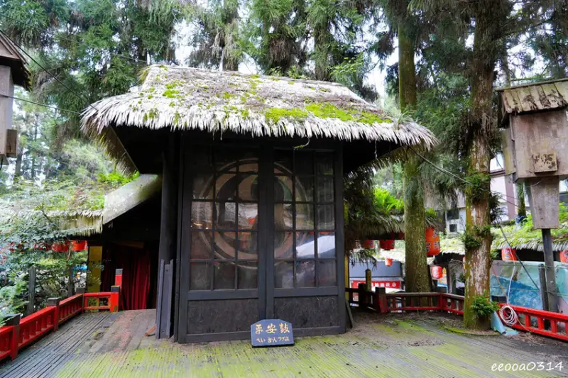 南投鹿谷「溪頭妖怪村」，咬人貓麵包、松林町日式特色商店街!