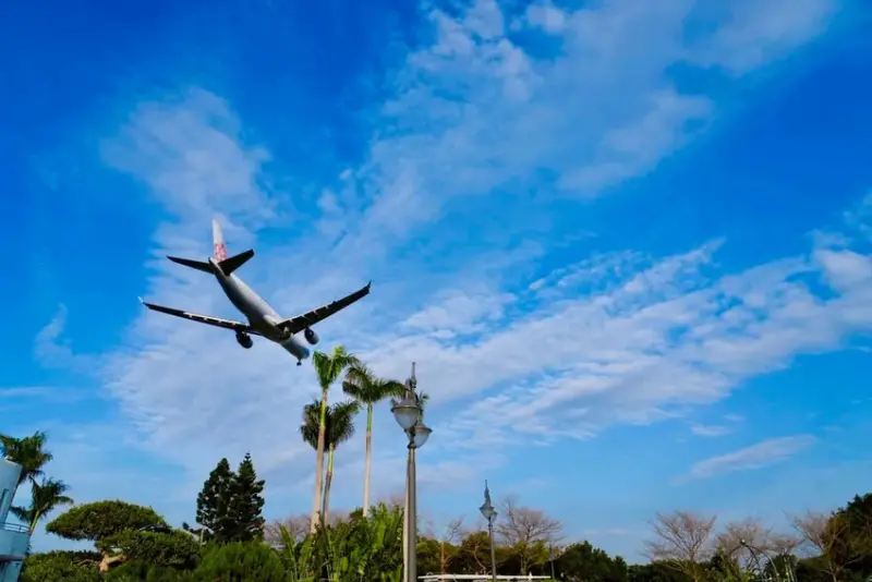 2025台北玫瑰展3/14登場「見證玫好」，台北玫瑰園500