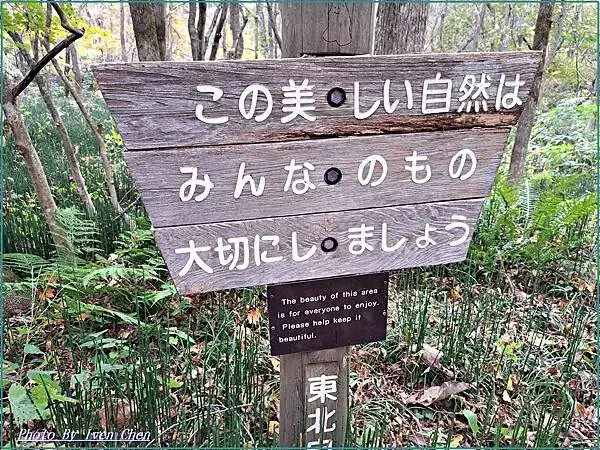 《日本之旅》2024/10/28-日本之旅第三部曲-奧入瀬溪