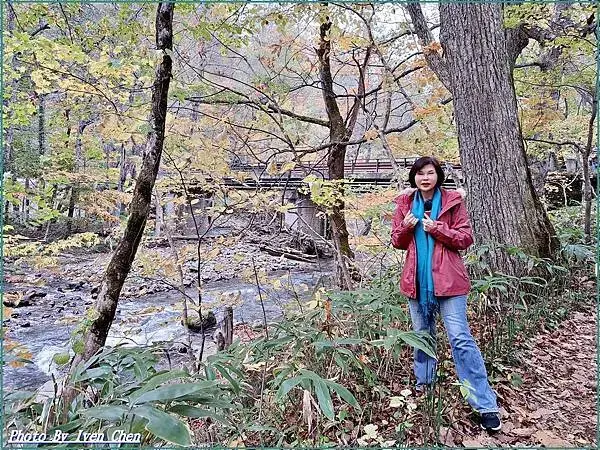 《日本之旅》2024/10/29-日本之旅第三部曲-奧入瀬溪