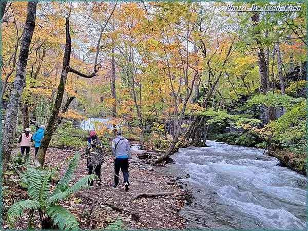 《日本之旅》2024/10/28-日本之旅第三部曲-奧入瀬溪