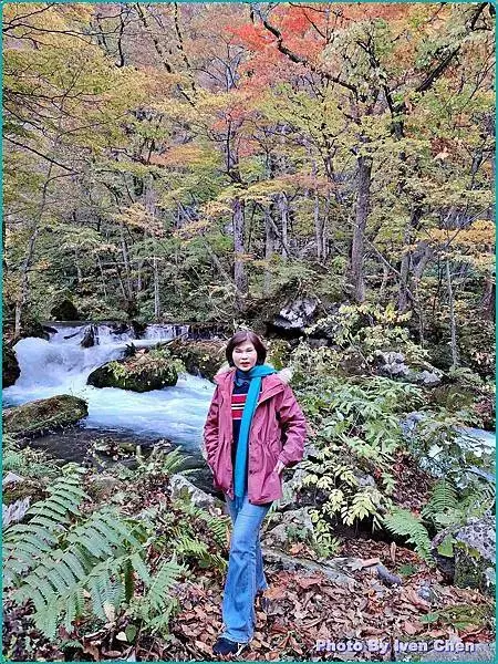 《日本之旅》2024/10/29-日本之旅第三部曲-奧入瀬溪
